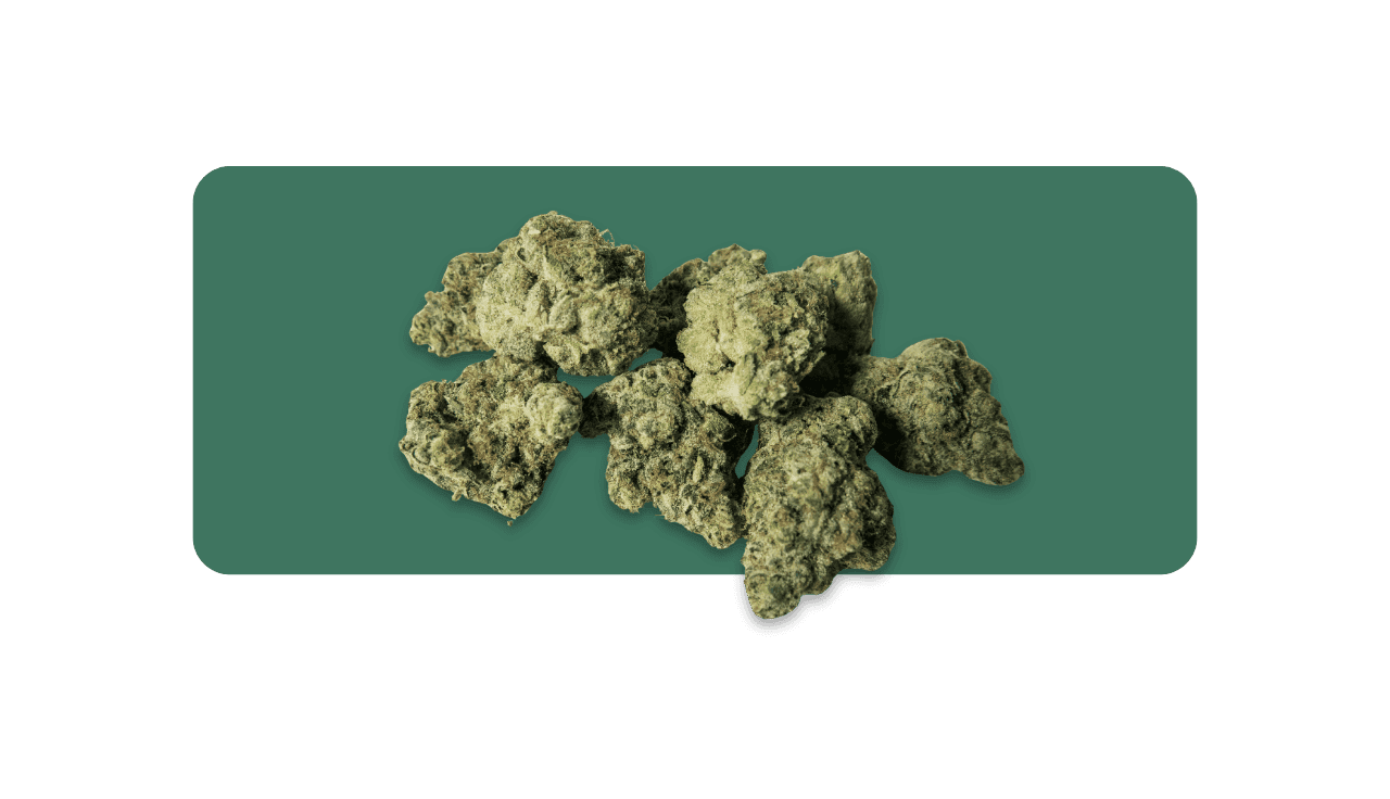 Cannabisblüten auf grünem Grund